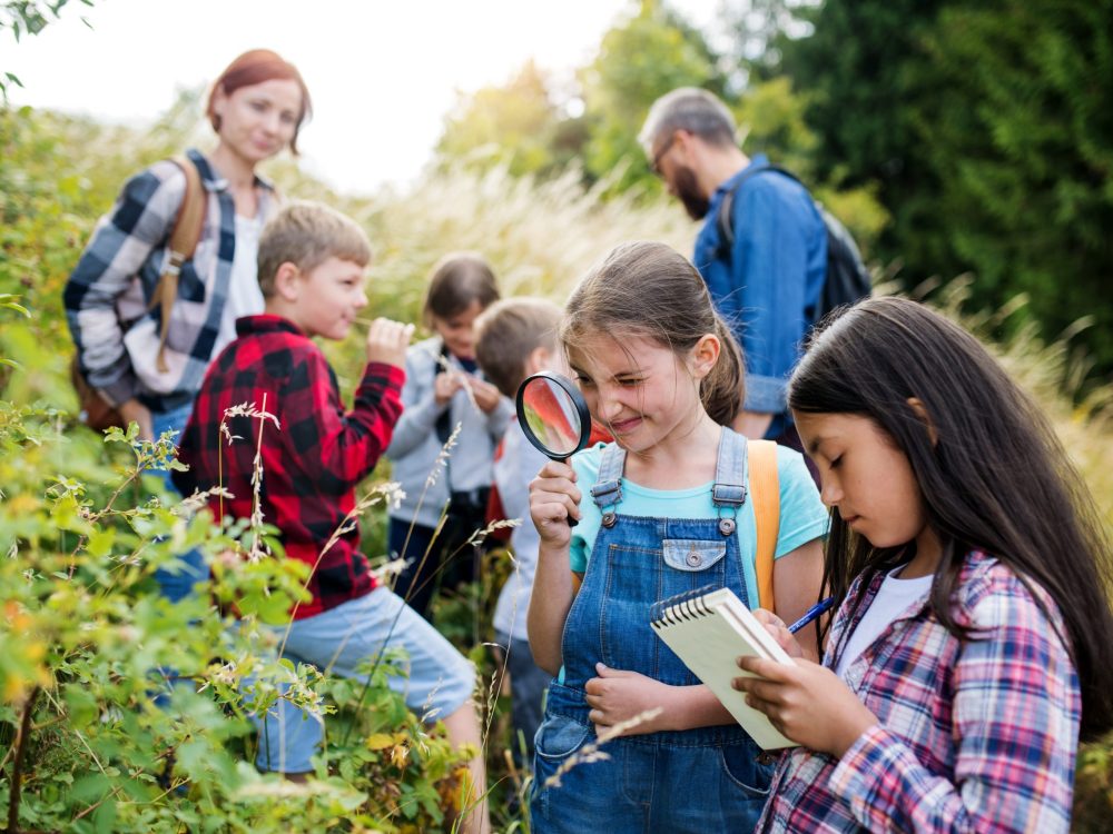 A group of small school children with teacher on field trip in nature, learning science.