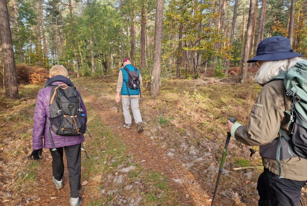 WhatsApp Image 2025-10-13 at 12.31.05