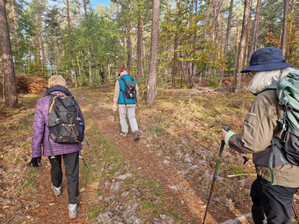 WhatsApp Image 2025-10-13 at 12.31.05