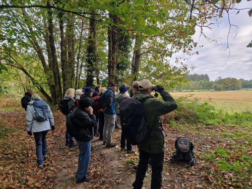 WhatsApp Image 2025-10-15 at 08.52.03