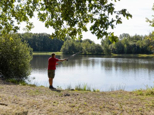 La Ferme de Courcimont 47600 Nouan-le-Fuzelier. Complexe convivialdans une ancienne ferme avec logements sobres, aire de jeux, étang, animations et restaurant.
