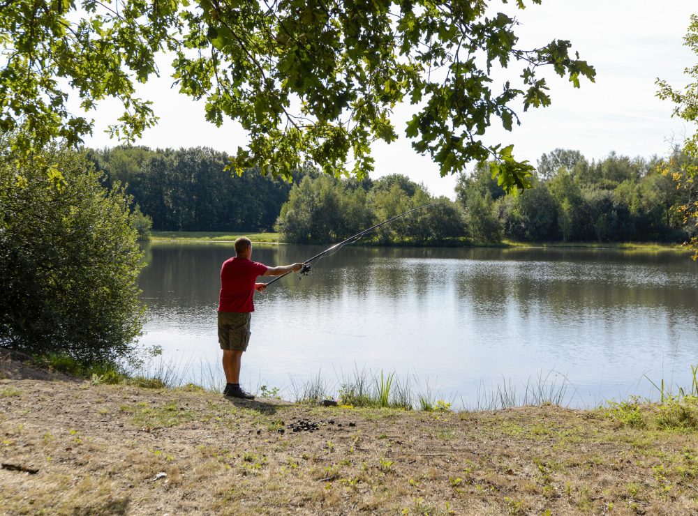 La Ferme de Courcimont 47600 Nouan-le-Fuzelier. Complexe convivialdans une ancienne ferme avec logements sobres, aire de jeux, étang, animations et restaurant.
