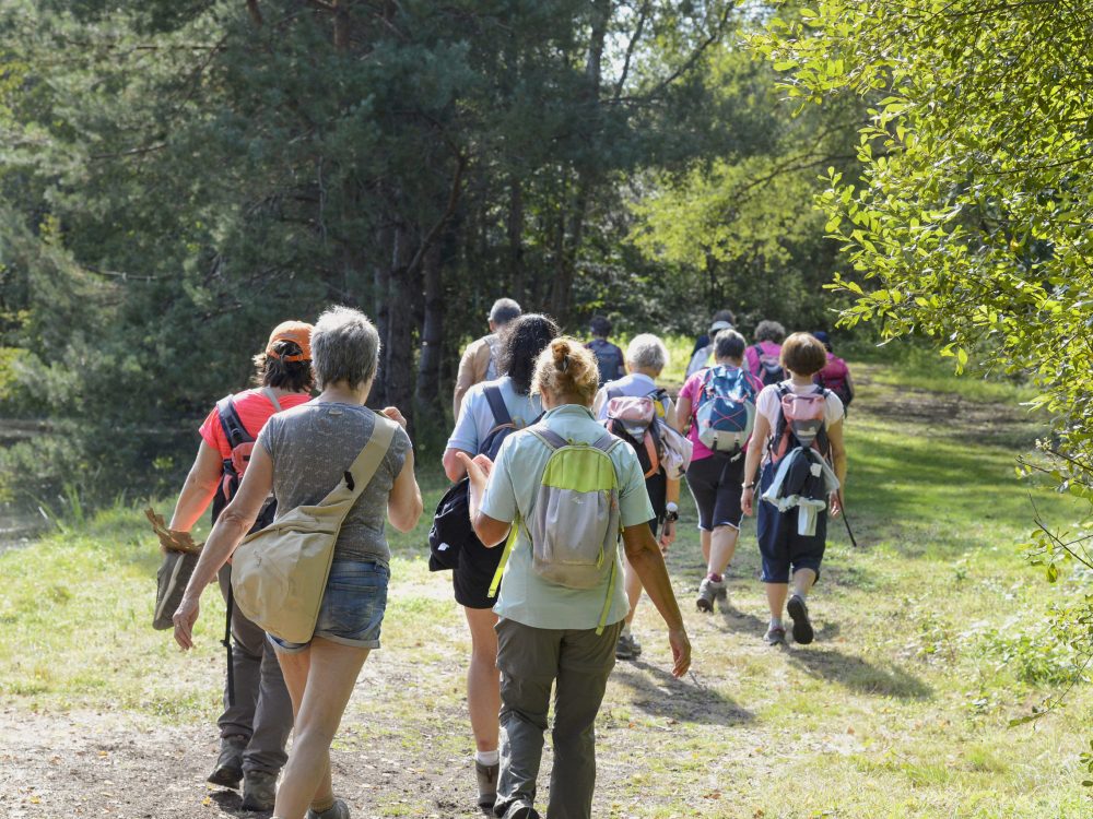 La Ferme de Courcimont 47600 Nouan-le-Fuzelier. Complexe convivialdans une ancienne ferme avec logements sobres, aire de jeux, étang, animations et restaurant.