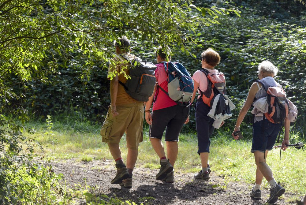 La Ferme de Courcimont 47600 Nouan-le-Fuzelier. Complexe convivialdans une ancienne ferme avec logements sobres, aire de jeux, étang, animations et restaurant.