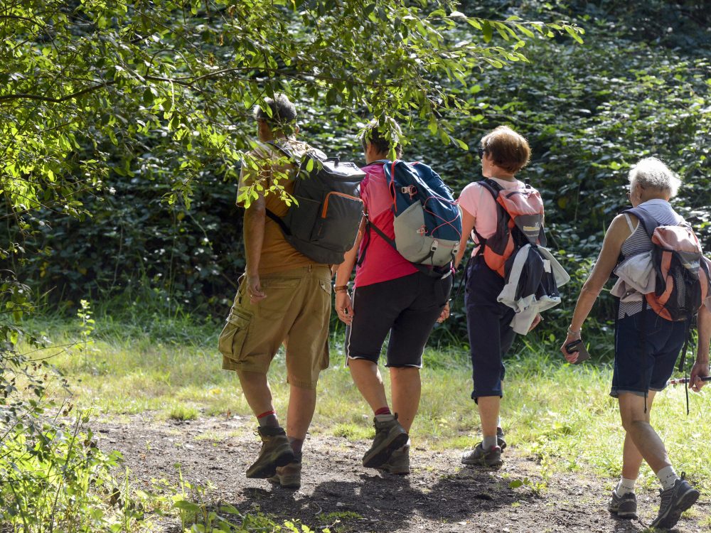 La Ferme de Courcimont 47600 Nouan-le-Fuzelier. Complexe convivialdans une ancienne ferme avec logements sobres, aire de jeux, étang, animations et restaurant.